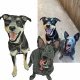 image-to-embroidery